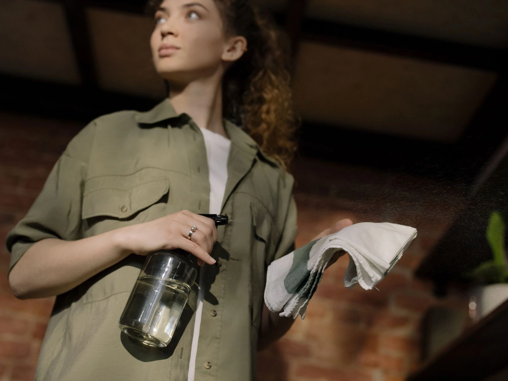 green cleaning professionals