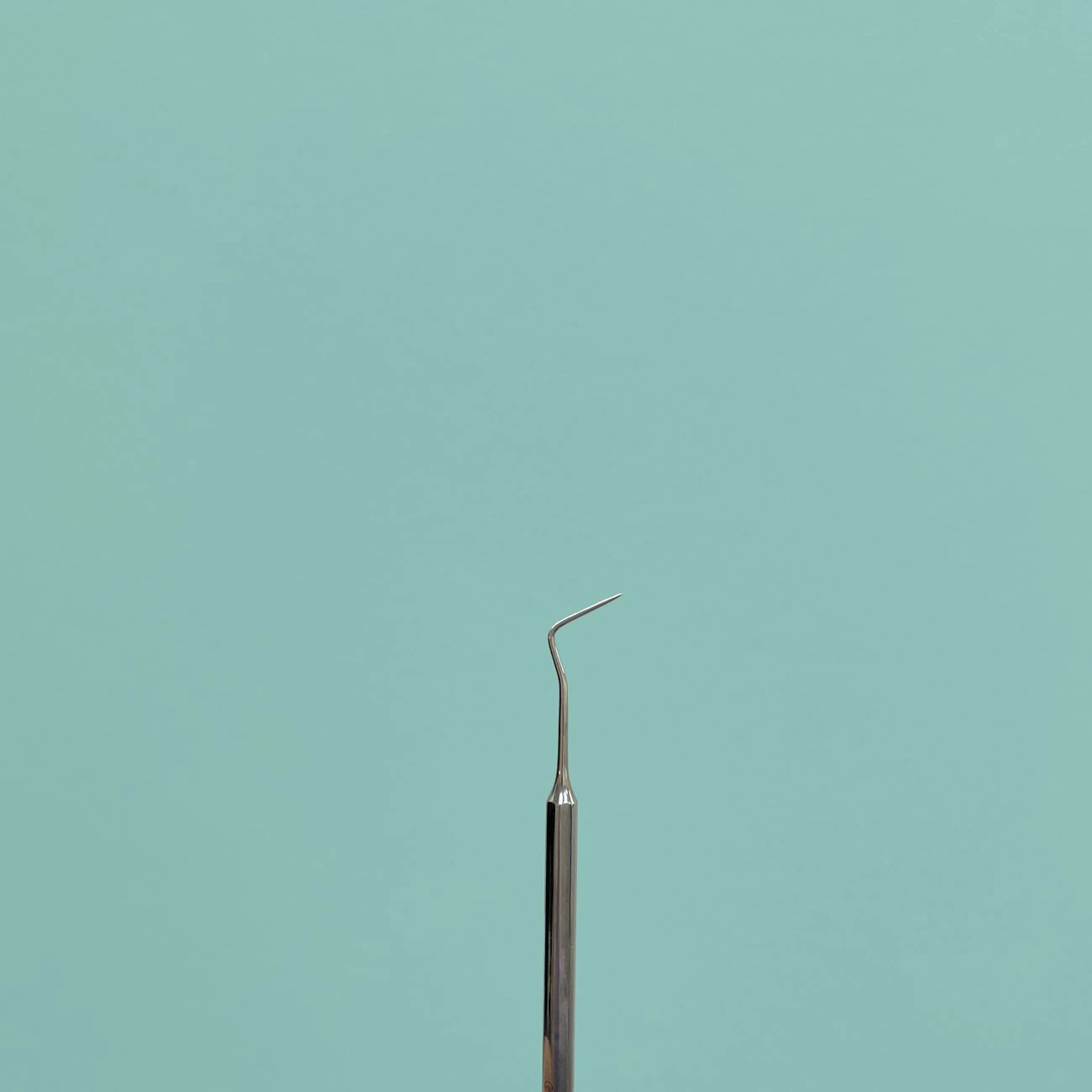 portrait of cleaning staff